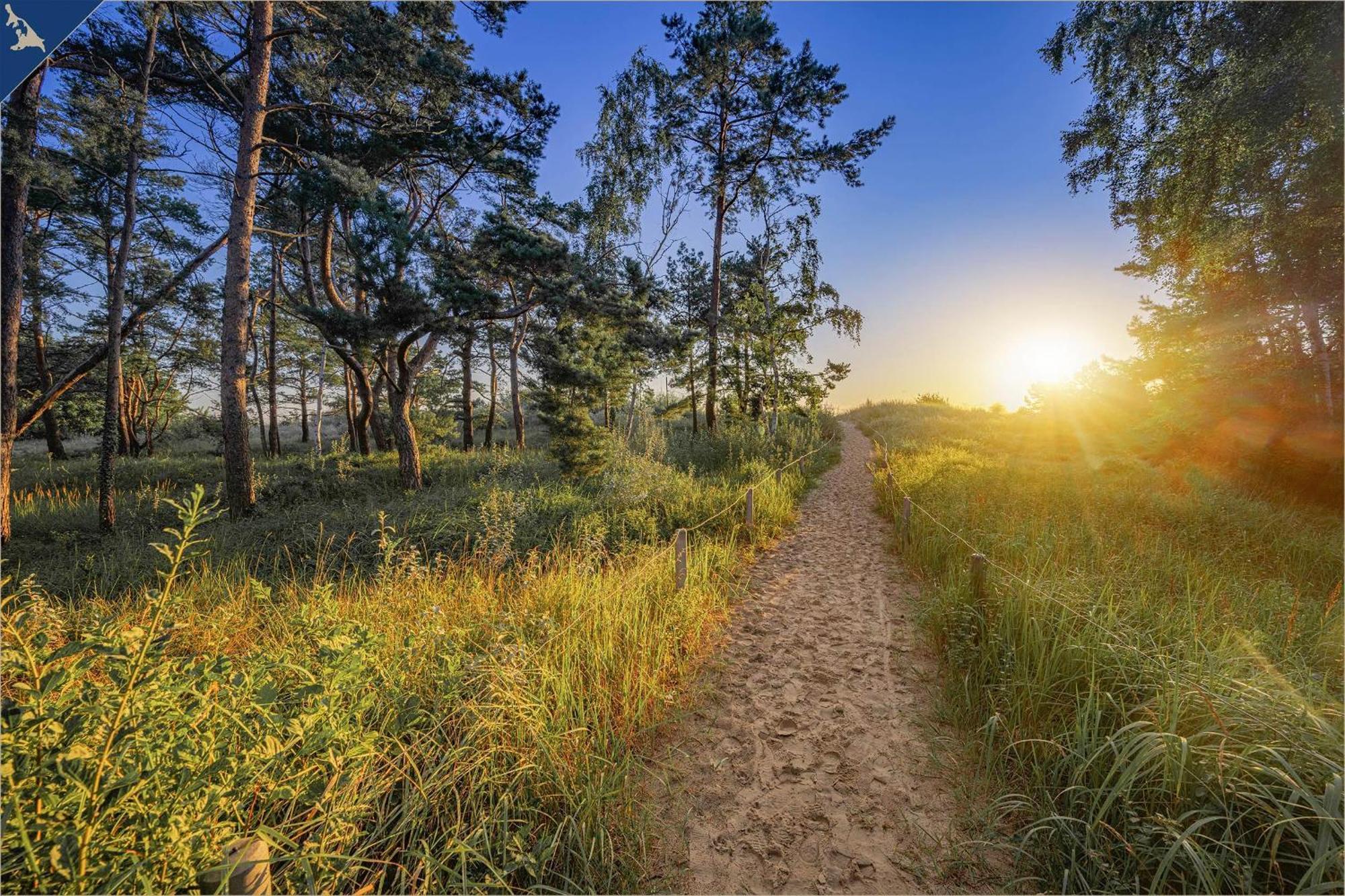 Tema 14 Heringsdorf (Usedom) Exterior foto