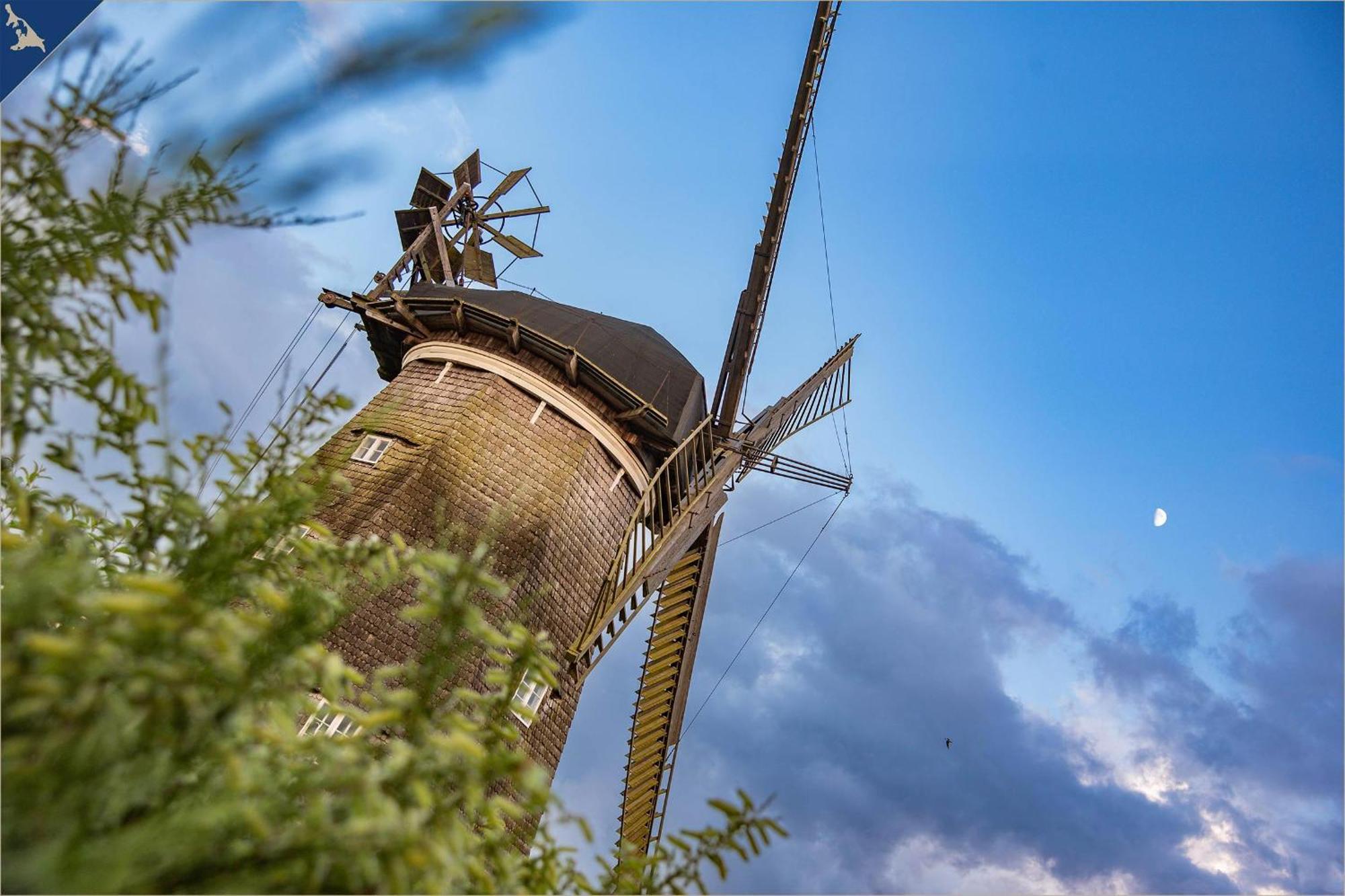 Tema 14 Heringsdorf (Usedom) Exterior foto
